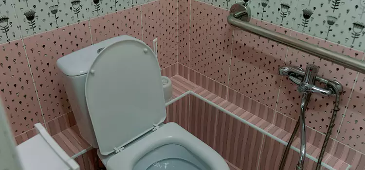 Meeting Diverse Needs With Accessible Restroom Solutions in Arden-Arcade, CA